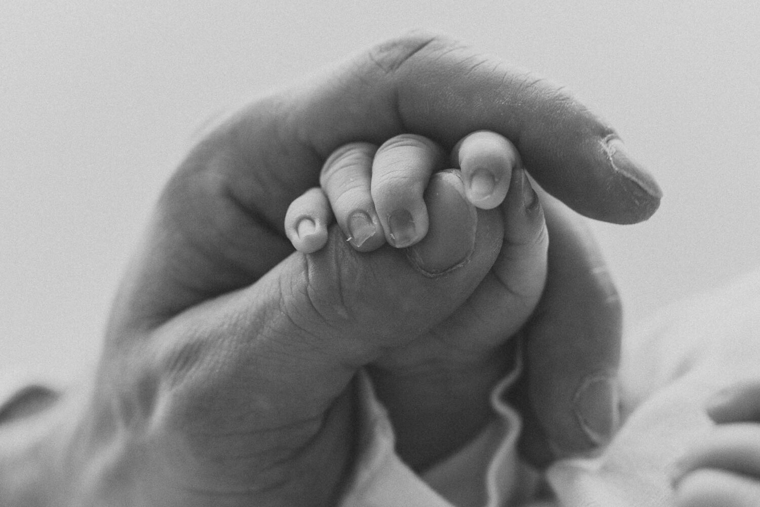 kräftige Männerfinger um die sich Babies Finger schlingen, den Daumen des Vaters fassen